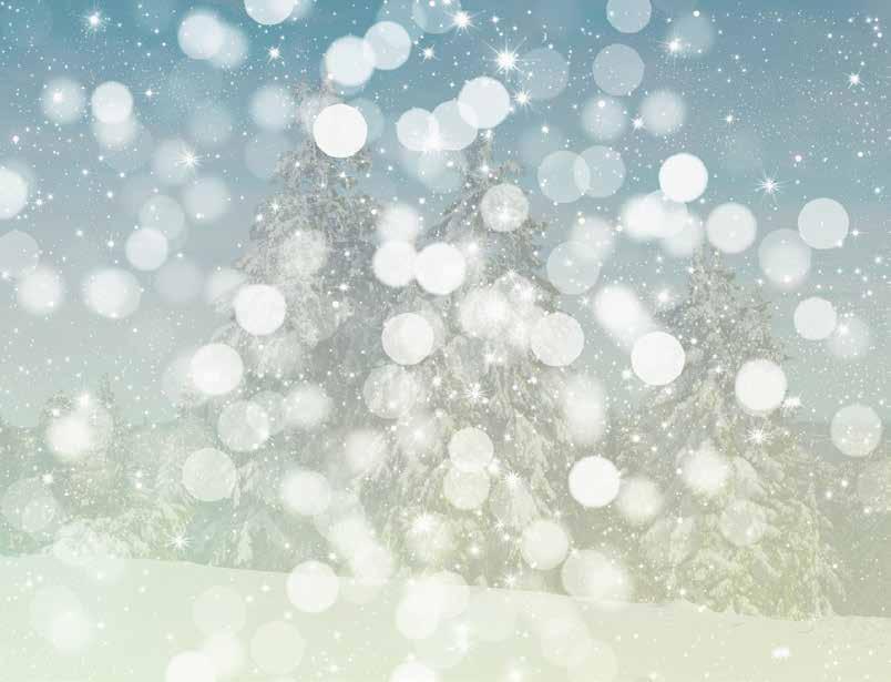 Predpraznična ponudba Slamnati obroči za adventne