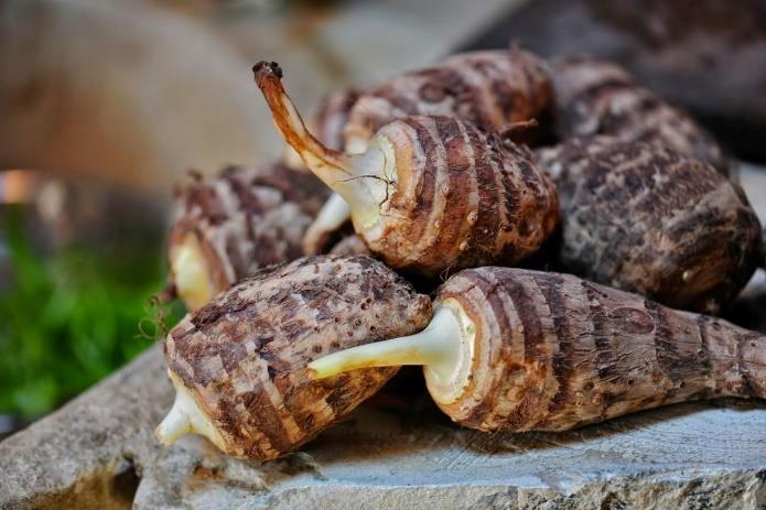Περνώντας κανείς από τον δρόμο θα αντικρίσει τα σύγχρονα μηχανήματα και τους κατοίκους να ασχολούνται με μεράκι και με αγάπη στην καλλιέργεια της γης, που κληρονόμησαν από τους προγόνους τους.