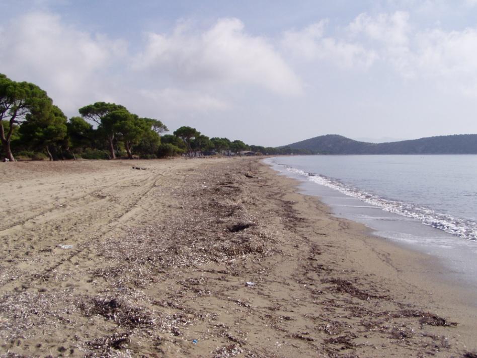 Elevation (m) ΧΑΡΤΟΓΡΑΦΗΣΗ ΓΕΩΠΕΡΙΒΑΛΛΟΝΤΙΚΩΝ ΠΡΟΒΛΗΜΑΤΩΝ Κ ΕΚΤΙΜΗΣΗ ΕΠΙΚΥΝΔΥΝΟΤΗΤΑΣ ΚΑΙ ΘΕΣΗ 2 Η θέση 2 (Εικ. Γ.2.50) απέχει από την θέση 1 περίπου 750 m.