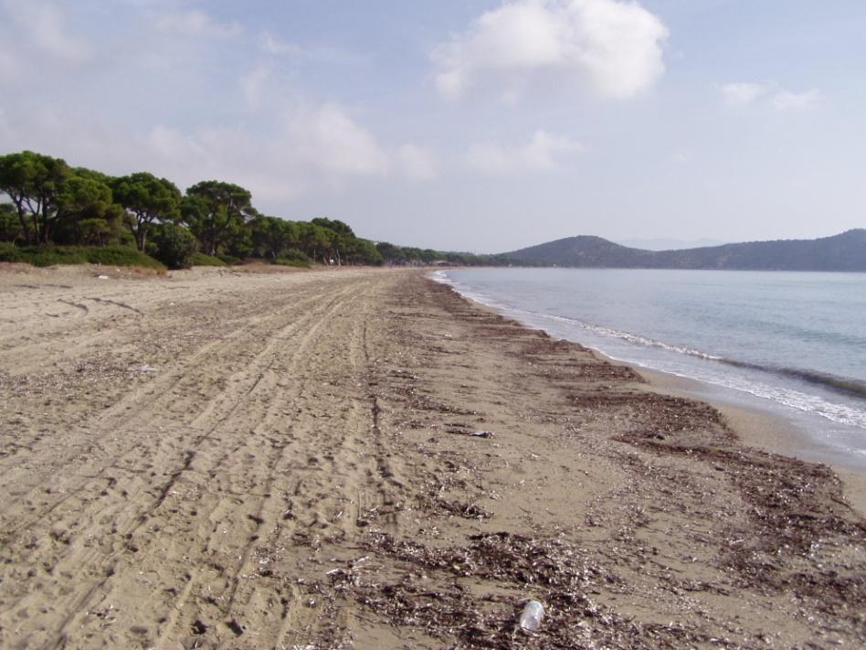Elevation (m) ΧΑΡΤΟΓΡΑΦΗΣΗ ΓΕΩΠΕΡΙΒΑΛΛΟΝΤΙΚΩΝ ΠΡΟΒΛΗΜΑΤΩΝ Κ ΕΚΤΙΜΗΣΗ ΕΠΙΚΥΝΔΥΝΟΤΗΤΑΣ ΚΑΙ ΘΕΣΗ 3 Η απόσταση της θέσης 3 (Εικ. Γ.2.51) από την προηγούμενη είναι περίπου 650 m.