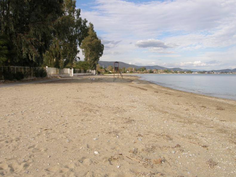 Elevation (m) ΧΑΡΤΟΓΡΑΦΗΣΗ ΓΕΩΠΕΡΙΒΑΛΛΟΝΤΙΚΩΝ ΠΡΟΒΛΗΜΑΤΩΝ Κ ΕΚΤΙΜΗΣΗ ΕΠΙΚΥΝΔΥΝΟΤΗΤΑΣ ΚΑΙ ΘΕΣΗ 8 Η θέση 8 (Εικ. Γ.2.56) απέχει από την προηγούμενη περίπου 2 Km.