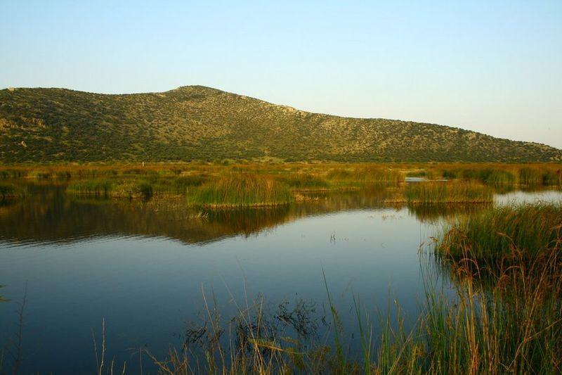 Η ελώδης έκταση που απέμεινε κομματιάζεται με ένα δίκτυο δρόμων και ένα δίκτυο καναλιών που καταλήγει με δύο αποστραγγιστικούς αγωγούς εκατέρωθεν του δάσους στη θάλασσα.