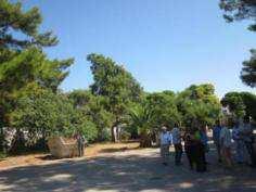 και το αρ.