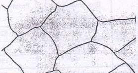 Tabela 1.