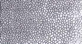 zrna No8 Slika 1.