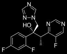 neoformans, Aspergillus, είδη Fusarium, φαιουφομύκητες,