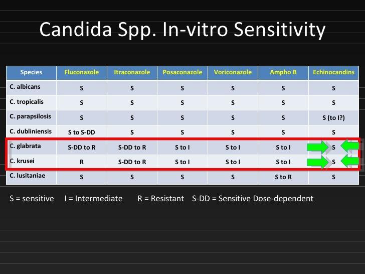 Ευαισθησία ειδών Candida