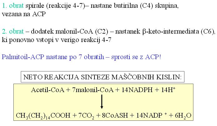 Nastanek maščobne