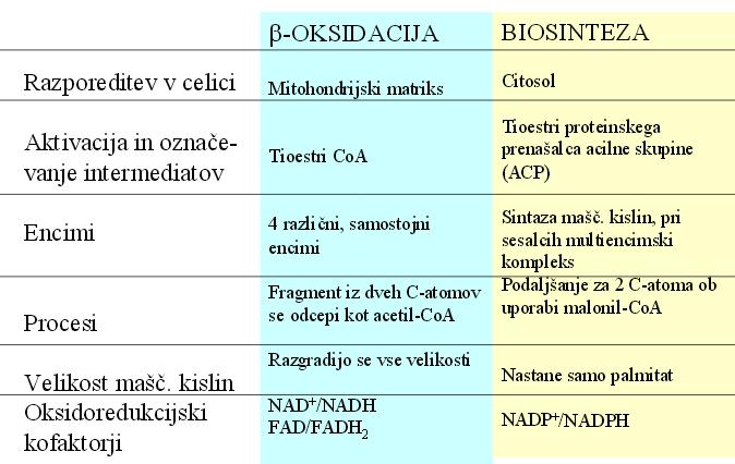 β-oksidacijo IN