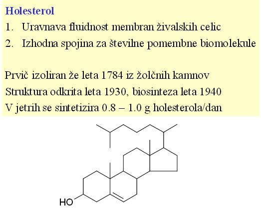 HOLESTEROL PRENOS LIPIDOV PO KRVI GLAVNI LIPOPROTEINI: FIZIKALNE
