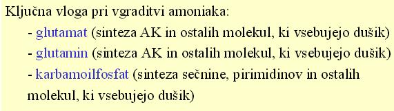 Karbamoil-fosfat