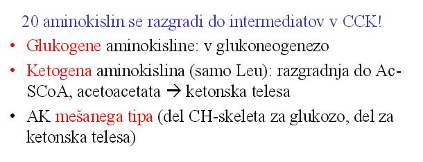RAZGRADNJA OGLJIKOVEGA