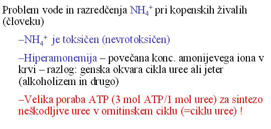 amonijaka Problem NH