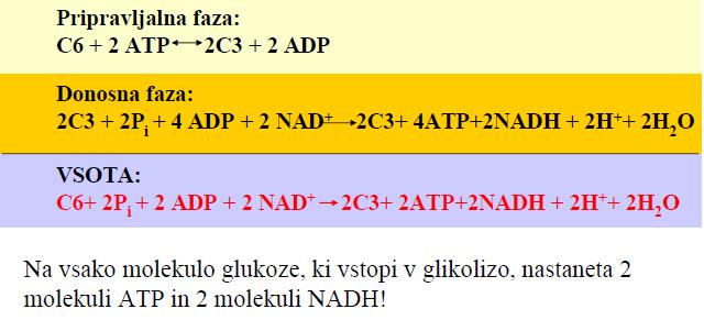 donosna faza pripravljalna faza glukoza glukoza-6-fosfat fuktoza-6-fosfat fuktoza-1,6-bifosfat 2 x gliceraldehid-3-fosfat 2 x piruvat Neto reakcija glikolize Vstop ostalih monosaharidov v glikolizo