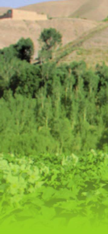 πτώση της στήριξης του τομεακού προϋπολογισμού.