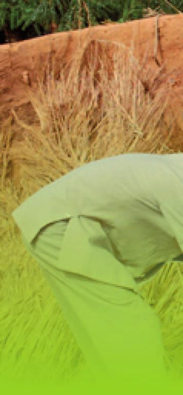 Αντιμετωπίζει άμεσα θέματα δικαιωμάτων του ανθρώπου, με ιδιαίτερη αναφορά στους υπερασπιστές των δικαιωμάτων του ανθρώπου, στα βασανιστήρια και στην κακή μεταχείριση, καθώς και τη δημοκρατική