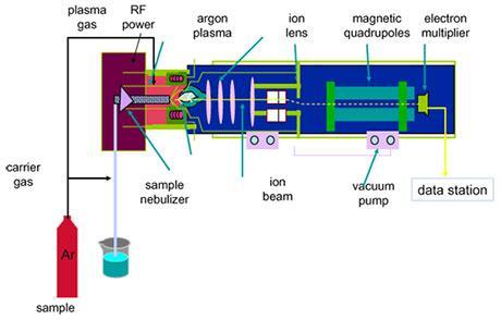 Στο σύστημα εισαγωγής δείγματος - εκνεφελωτής και θάλαμος ψεκασμού (spray chamber). Ο εκνεφελωτής μετατρέπει το υγρό δείγμα σε αεροζόλ αναμειγνύοντάς το με αέριο αργό στο θάλαμο ψεκασμού.