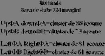 80 de icoane. În România axele A (aprox.