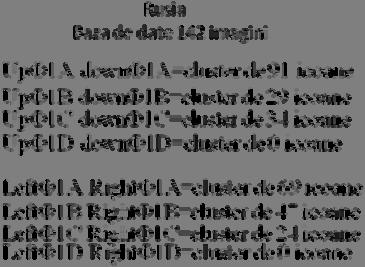 Axele orixontale sunt diferite ca număr: axa A cu 75 de icoane, axa B cu 49 de icoane, axa C cu 36 de icoane și axa D cu 89