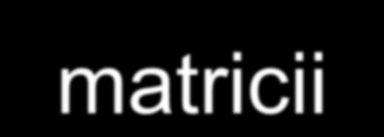 - () Δ i Sistem de actionare x i f()
