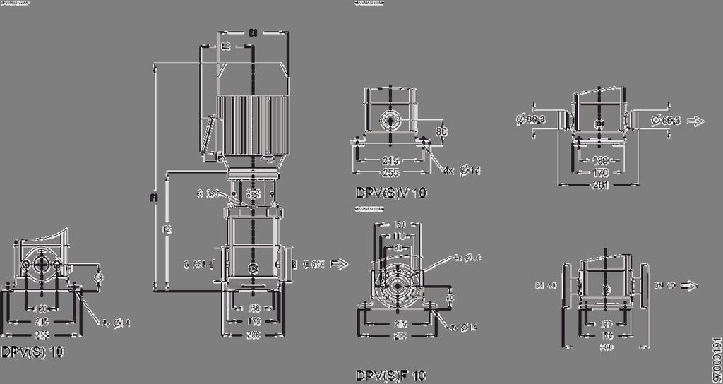 DPV(S) 10