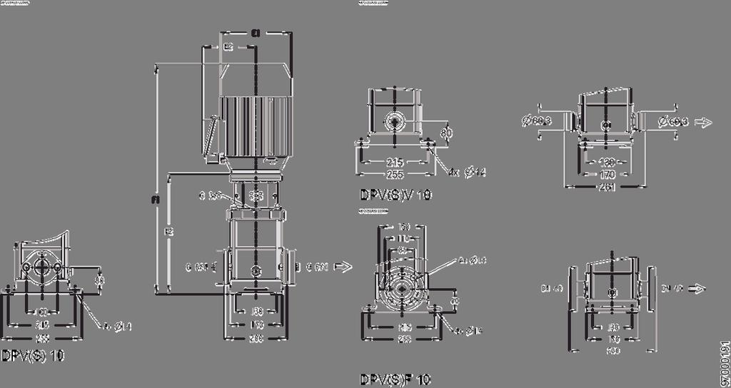 DPV(S) 10