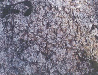 Hidroxeoloxía: Na zona de estudo, as características hidroxeolóxicas están fortemente condicionadas a litoloxía e tectónica dos materiais existentes.