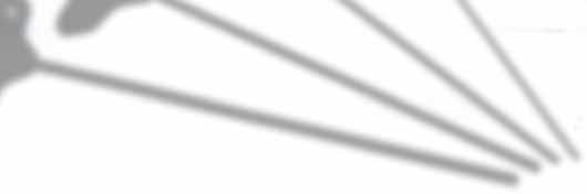 Intellectual Properties,