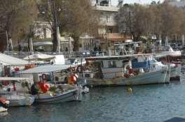 Μέγεθος και Πλήθος Σκαφών Στις περιοχές αλιείας δραστηριοποιούνταν 110 επαγγελματικά αλιευτικά σκάφη το 2009 50. Εν