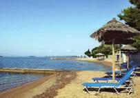 διάρκεια των φαγητών Ζωντανή µουσική µία φορά την εβδοµάδα ωρεάν ξαπλώστρες στη