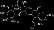 AMINOGLIKOZIDI Šesterokotni obroč, aminociklitol, in z glikozidno vezjo nanj vezani sladkorji Mehanizem delovanje: ni povsem jasno zavirajo sintezo beljakovin motijo preverjanje pravilnosti sinteze