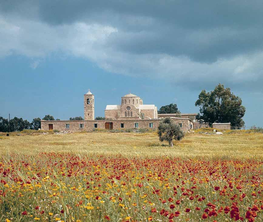 Εκκλησία Αποστόλου Βαρνάβα, Επαρχία