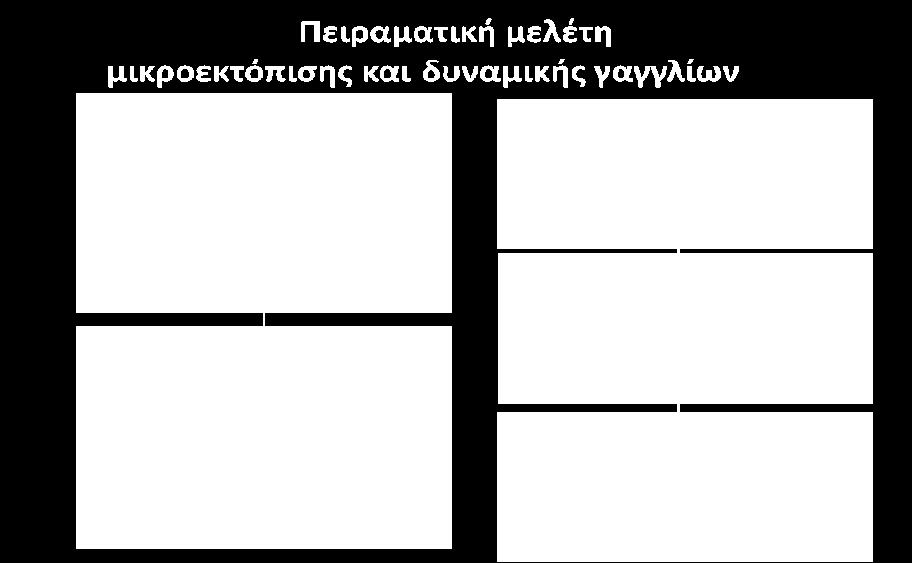 της μικροπορώδους δομής