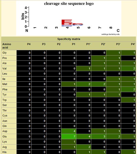 Baze de date pentru enzime Baze de date cu enzime specializate MEROPS specificitate de clivare aminopeptidase A