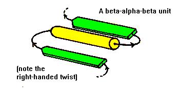 2. Caracterizarea enzimei 2.2. Determinarea structurii