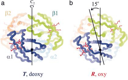 Accesul oxigenului