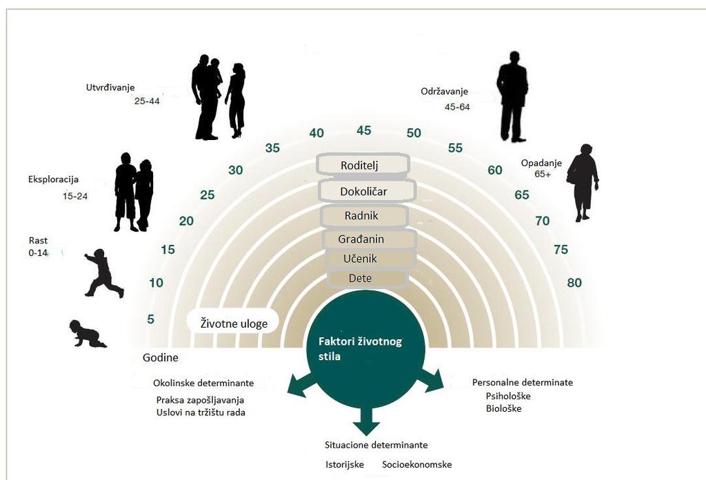 Grafikon br. 1: Prikaz životnog luka u Superovoj teoriji profesionalnog razvoja (Preuzeto sa: www.careers.govt.