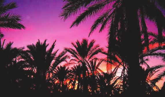 30 العدد أدب شعبي الثقافة الشعبية ربيع 2010 قبلي بعد المغرب الساسي من شعراء السواسي: وصدر تايق وبزول وذراعها سيف مسلول من يصدفه راح مفصول األصباع بسر النخايل وفي قصيدته المشهورة»حفلت بالديباج«نراه