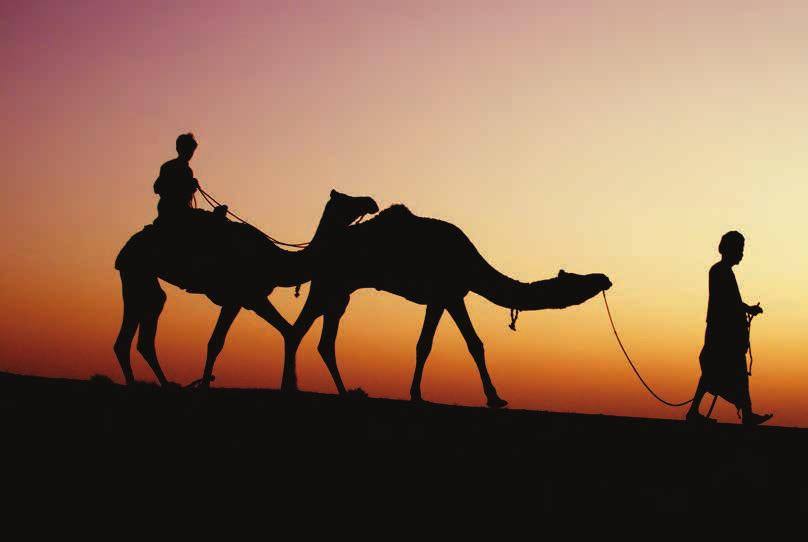العدد 67 فنون المأثورات الشفاهية في الجزيرة ألعاب الصبيان أورد المؤلف ما يربو على الثالثين مثاال برزت فيها خصوصية األداء الصوتي والحركي وعناصر البيئة واالمتداد الجغرافي المعبر عن التواصل واالنتشار