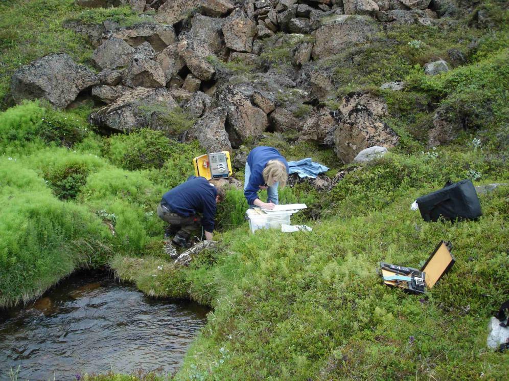 12. Þorvaldsstaðaá Staður