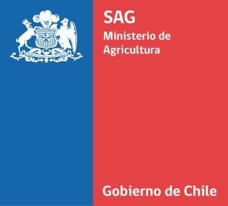 Servicio Agrícola y Ganadero División Protección Agrícola y Forestal Subdepartamento de Viñas y Vinos,