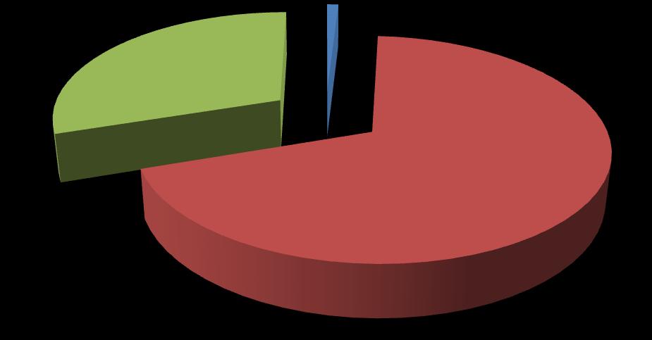Décimo segunda región Cuadro 74 Plaguicidas vendidos según serie XII Región, año 2011 Serie Tipo plaguicidas Total (kg/ l) 1000