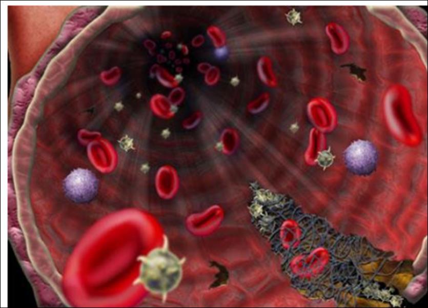 ΕΙΣΑΓΩΓΗ ΑΙΜΟΣΤΑΣΗ Το σύνολο των κυτταρικών και βιοχημικών διαδικασιών που φροντίζει: να διατηρεί τη ροή του αίματος