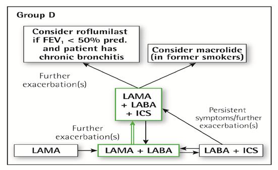 Συστήνεται η έναρξη με LABA & LAMA Έχει υπεροχή από τη μονοθεραπεία σε όλα τα πρωτεύοντα καταληκτικά σημεία των μελετών Υπερέχει στις παροξύνσεις συγκριτικά με ICS/LABA Οι ασθενείς του