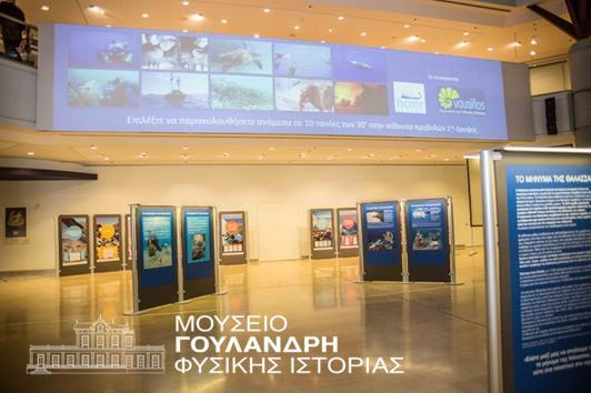Βιβλιοθήκης Αμερικανικής Σχολής