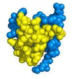Certolizumab pegol) ΤNF-R