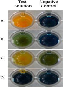 διάκριση καρβαπεμενασών (τάξης Α, Β) Carba NP II Εναλλακτικά: Blue Carba test Άμεσα από κ/α [όλα τα gram(-)] β-carba test: αποικία για CPE ( 30 min) Nordmann et al. EID 2012;18:1503-7; Dortet et al.
