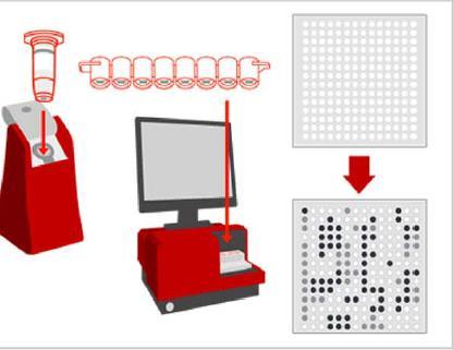 DNA microarray technology Η τεχνική DNA microarray (μικροσυστοιχίες) στηρίζεται στο συνδυασμό τεχνικής PCR και υβριδισμού με χρήση ολιγονουκλεοτιδίων, ανιχνεύει ταυτόχρονα την παρουσία πολυάριθμων