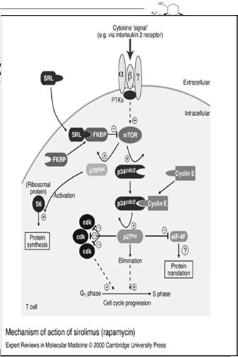proliferation arresting the cell cycle in the G1 phase Prescribed for Renal transplant mouth