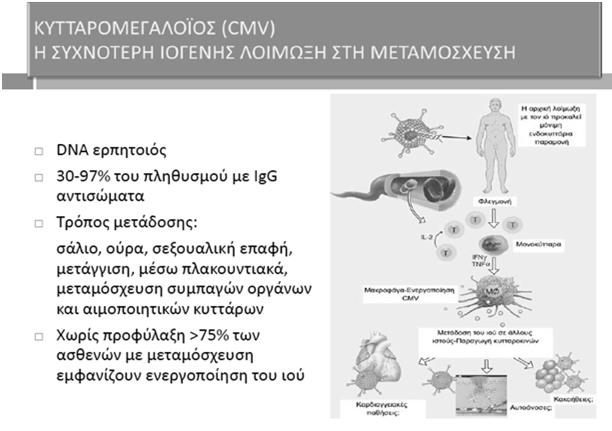 Viral infections complicating organ transplantation o Cytomegalovirus pneumonia, disseminated infection, retinitis o HSV oropharyngeal or oesophageal infection, disseminated, encephalitis o VZV rash,